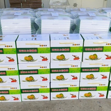 苍溪红心猕猴桃装好发货