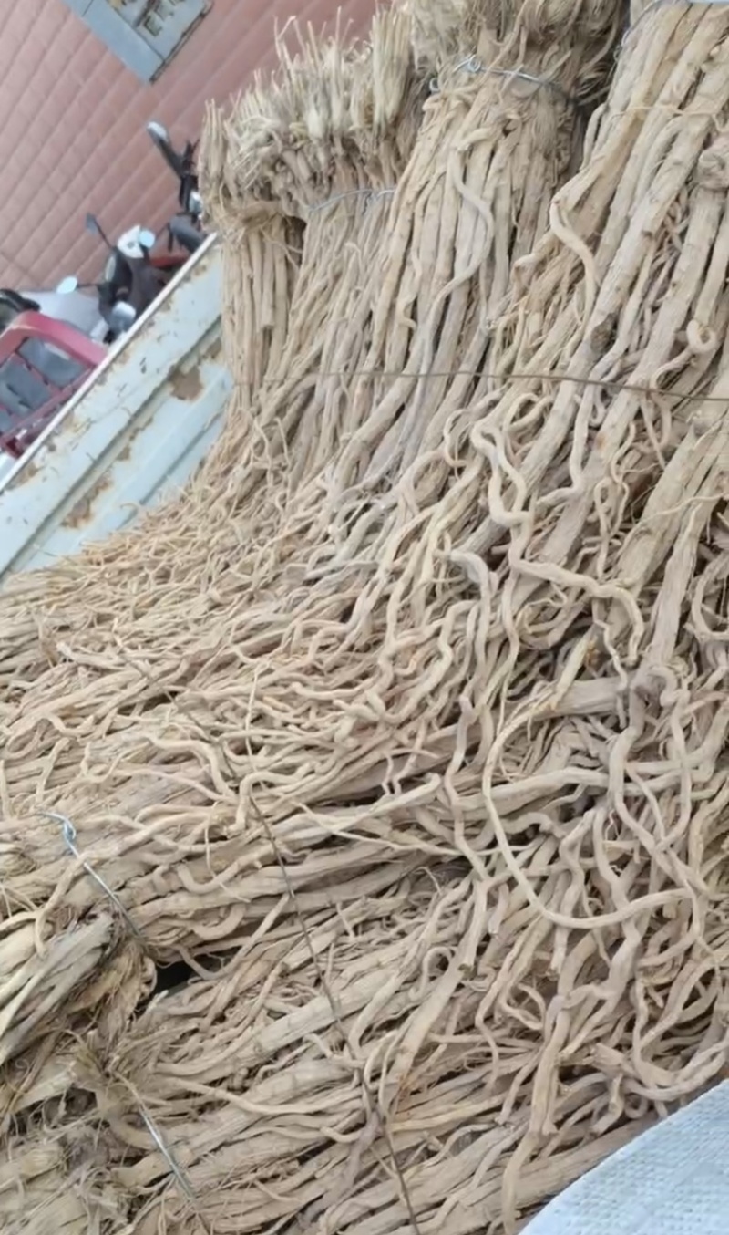 防风地摊电商批发防风中药材防风干