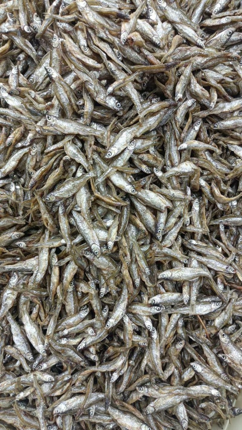 鱼干干鱼地摊电商小白肖鱼干小小油炸鱼干河鱼干