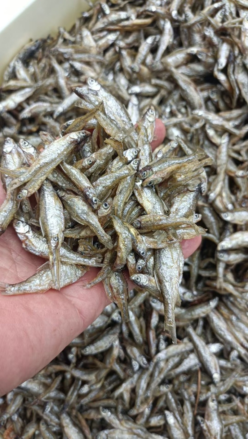 鱼干干鱼地摊电商小白肖鱼干小小油炸鱼干河鱼干
