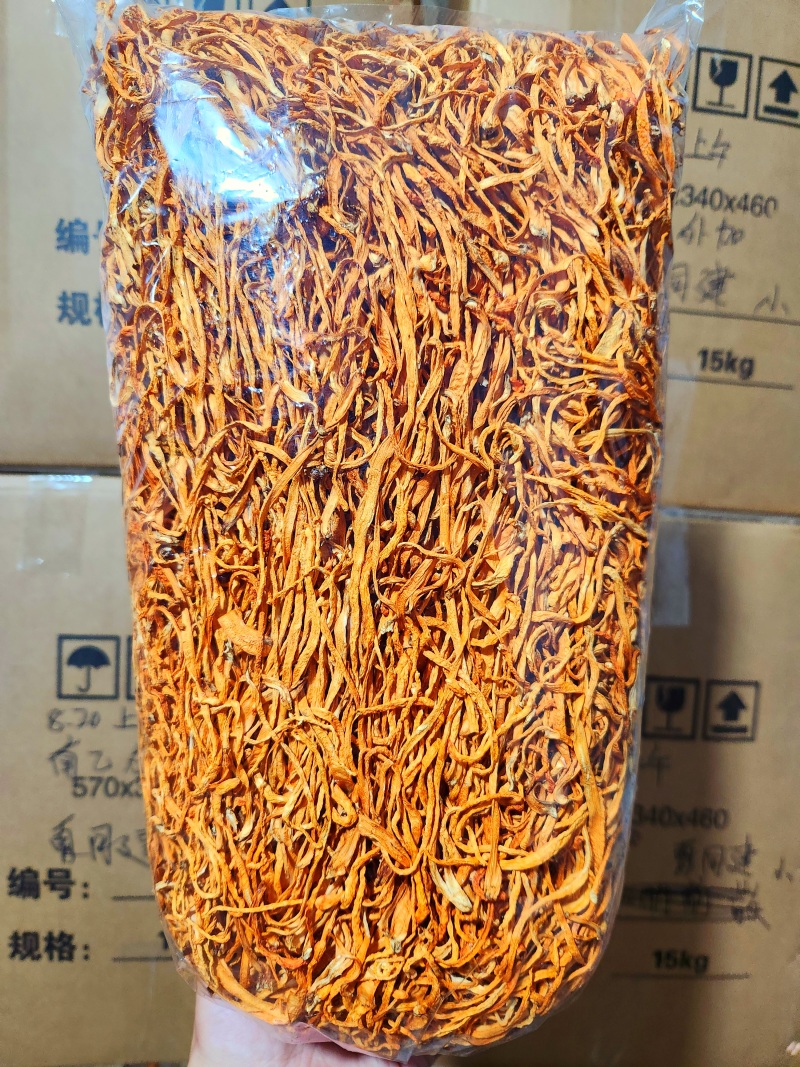 虫草花干货中粗大长条精品无硫新货农户自产自销