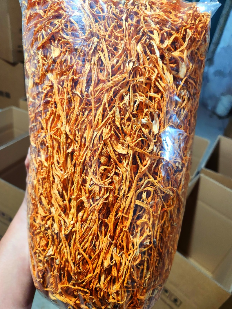 虫草花干货中粗大长条精品无硫新货农户自产自销