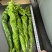 螺丝椒~龙椒全螺湛江新苗大量现货，电商货市场货应有尽有
