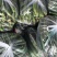 精品黄瓜大量上市，市场直发，电商供货，超市直接供应。
