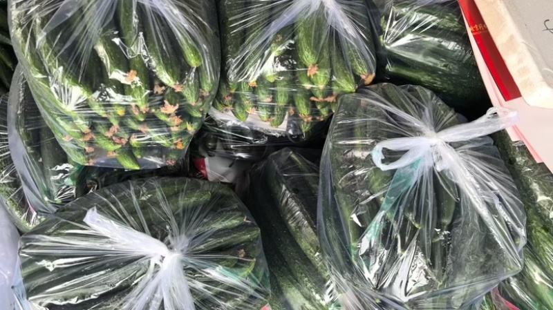 精品黄瓜大量上市，市场直发，电商供货，超市直接供应。