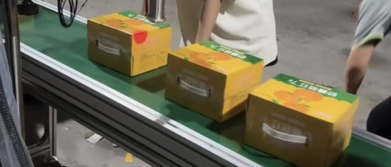 小橙优选砂糖桔红了300毫升ml×6瓶装现货