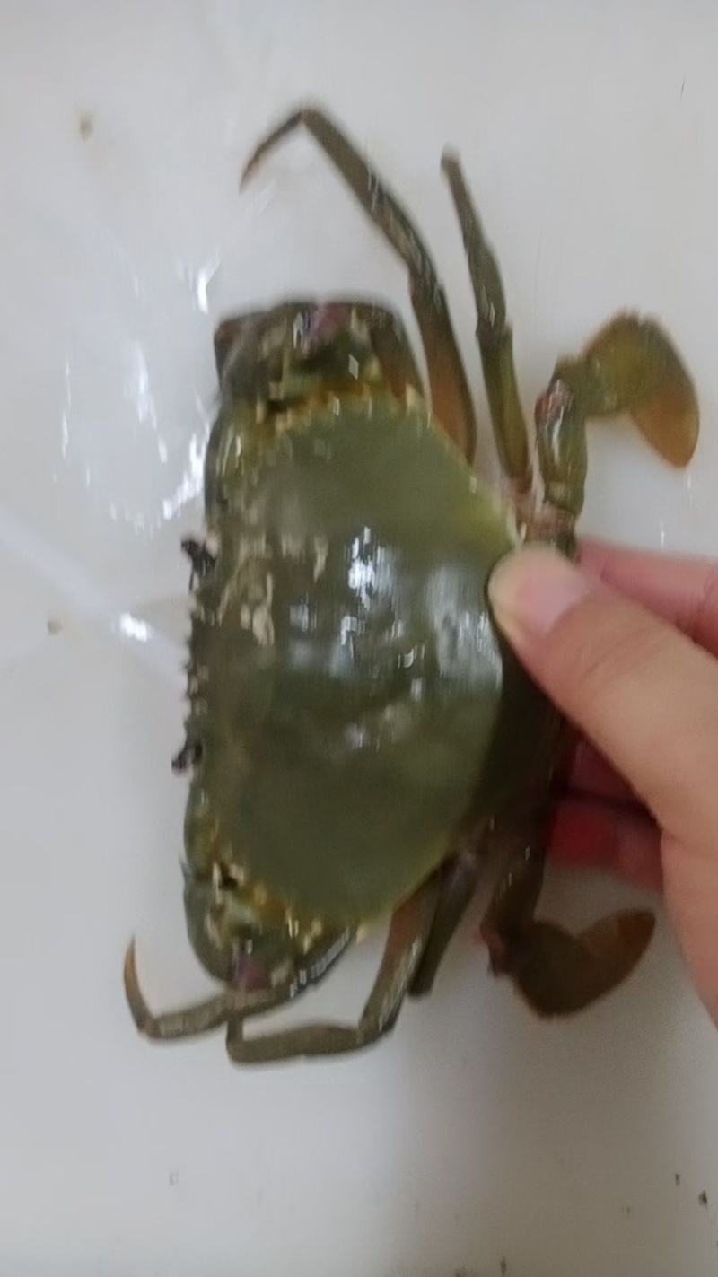 满膏黄油蟹