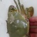 满膏黄油蟹
