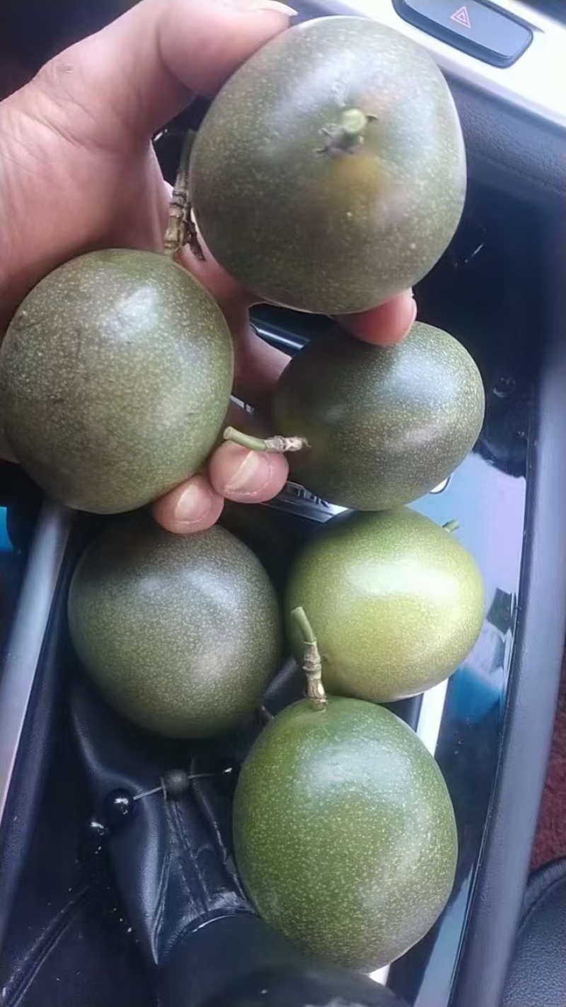 云南精品百香果当季鲜果云南紫皮原浆欢迎咨询