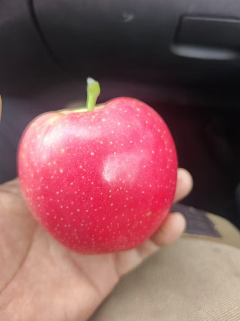 辽宁纸袋红嘎啦皮薄肉嫩，甘甜多汁吃完让你留恋忘返，飘飘然