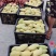 精品芒果/水仙芒果产地直发大量现货欢迎各地客商洽谈