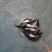 斑桂鱼苗\斑鳜鱼苗\虎斑桂鱼苗\黑鳜鱼苗\全国发货\