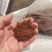 发酵老红糖发酵水肥培养菌种EM菌扩培水产养殖等