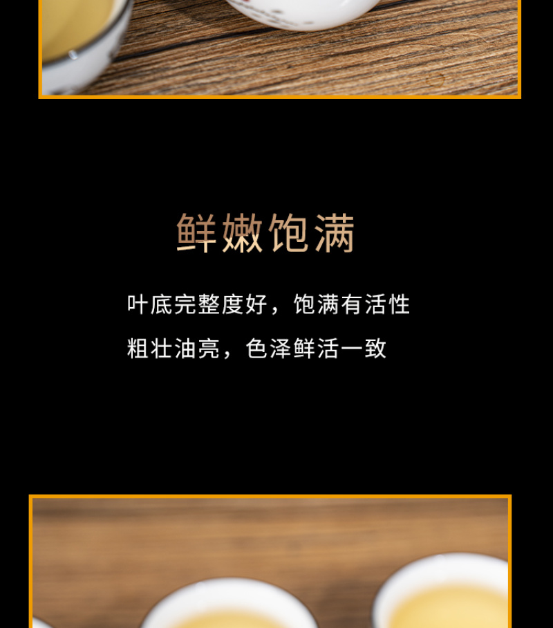 普洱茶大货批发古树普洱茶贴牌加工接直播电商一件代发