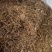 无污染无农药金银花，手工烘炒太阳自然晒干，源头厂家