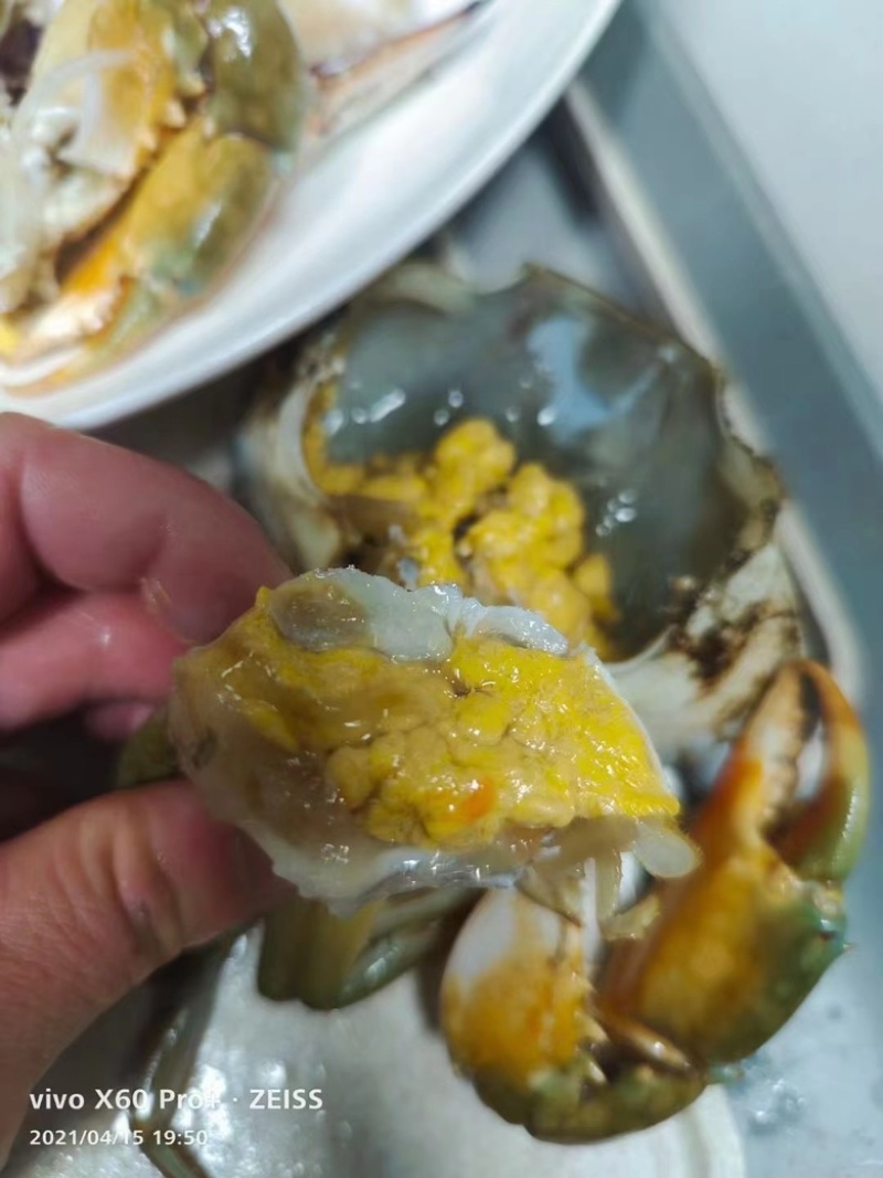 送礼青蟹包肥包活