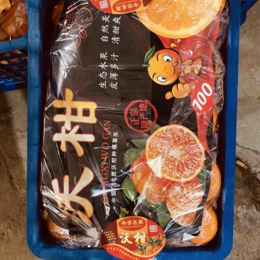沃柑口感好甜度够货源充足产地代办代发全国