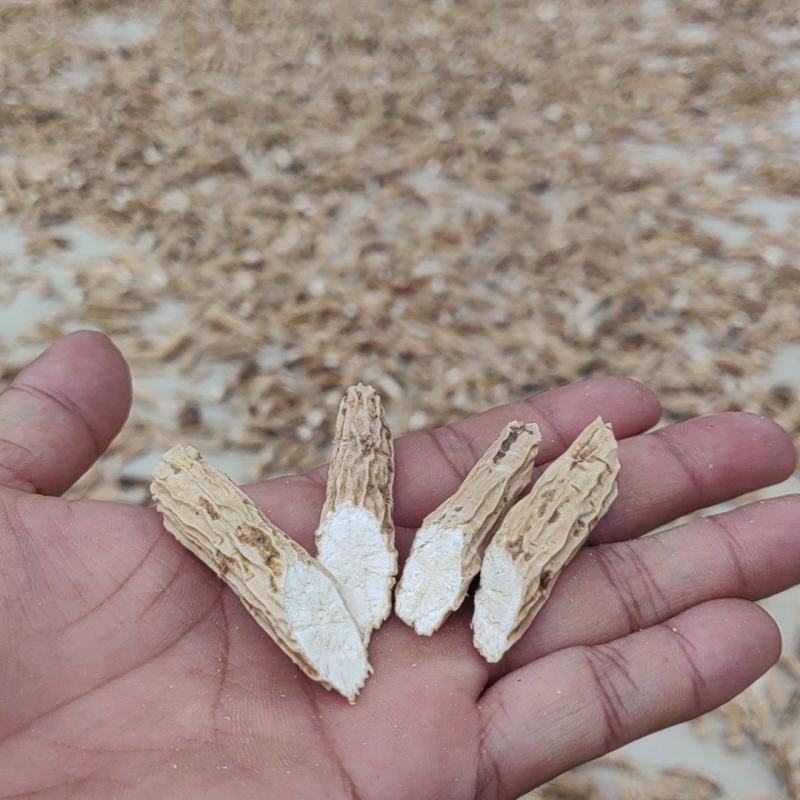 精品牛大力，加工，批发，干货，鲜货，干选粉，干选根