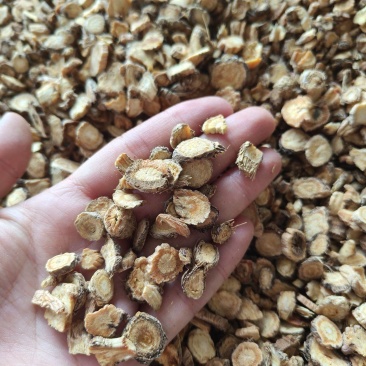 防风小选装祥泰药材栈中药材批发零售实物拍摄量多从优
