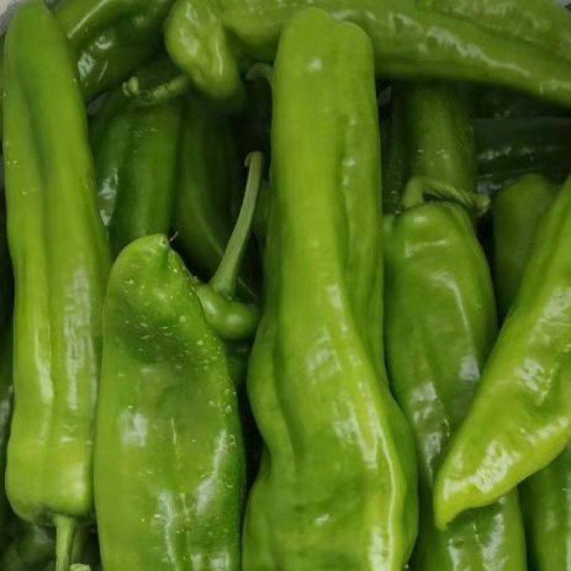 鲜辣椒