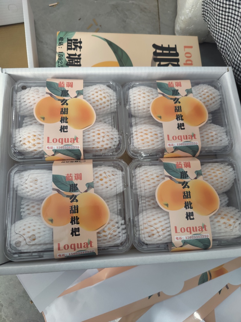 五星大枇杷