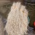 折耳根节节根鱼腥草新鲜现挖货源充足可全国发货