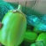 青茄子蔬菜类