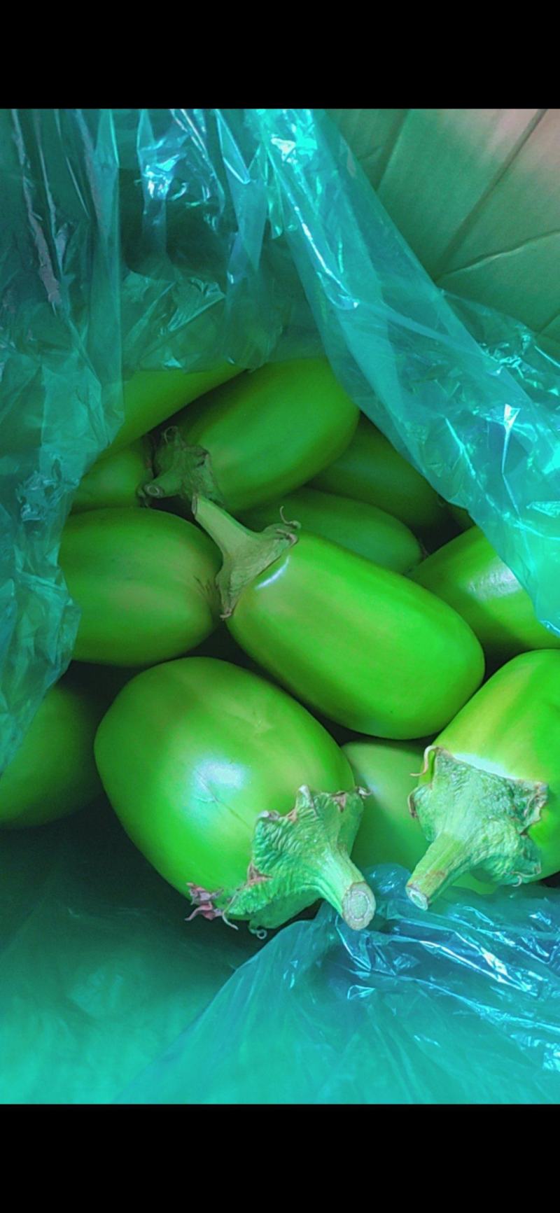 青茄子蔬菜类