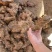 广西白肉土茯苓粉质土茯苓广东土茯苓非云南土茯苓冷饭头