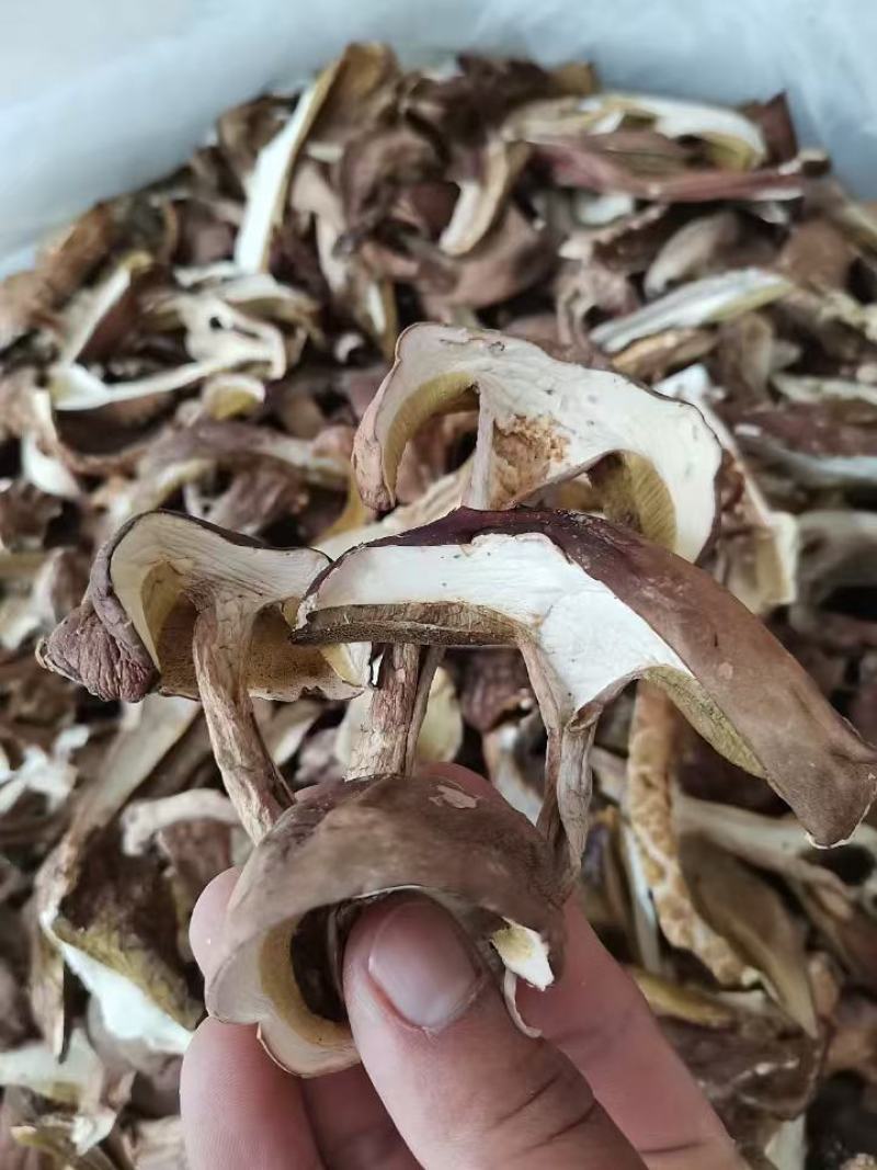 美味牛肝菌包邮，云南产地干货，煲汤佳品，批发一件代发