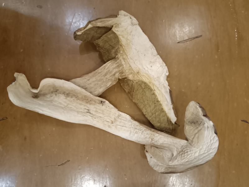 美味牛肝菌包邮，云南产地干货，煲汤佳品，批发一件代发
