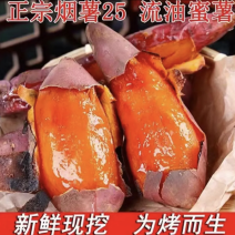 河北烟薯现挖现发货源充足品质保证对接全国欢迎咨询！