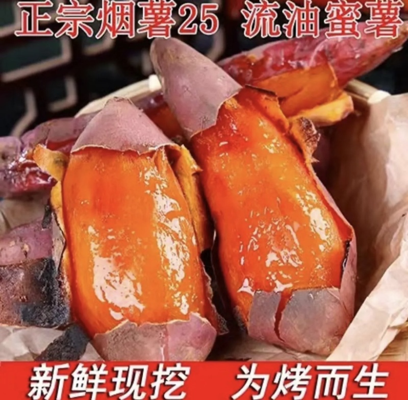 河北烟薯现挖现发货源充足品质保证对接全国欢迎咨询！