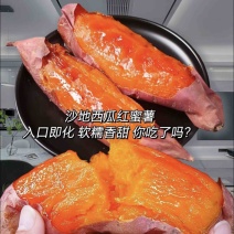 河北西瓜红红薯产地直发货源充足质量保证欢迎咨询！