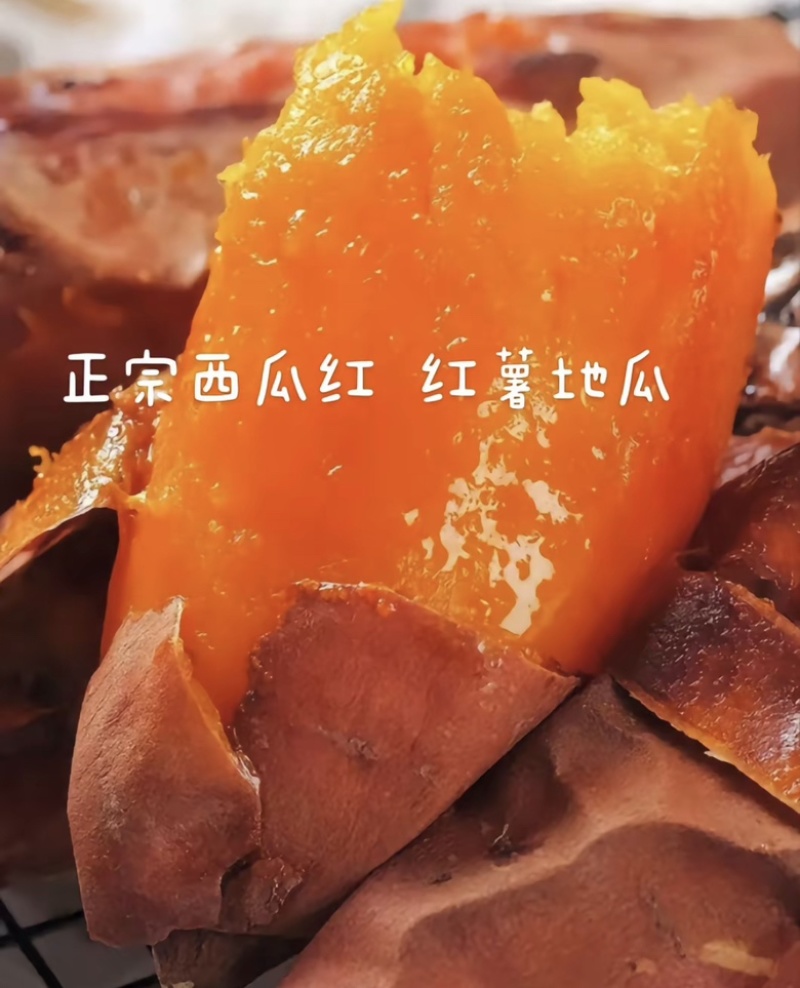 河北西瓜红红薯产地直发货源充足质量保证欢迎咨询！