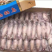 精品带籽带膏海兔