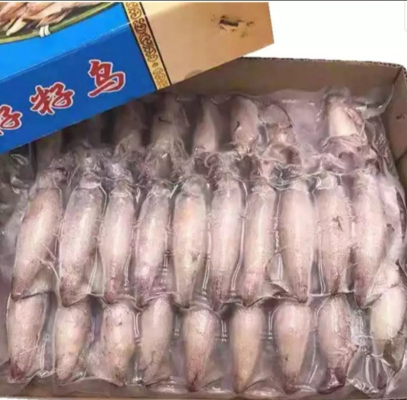 精品带籽带膏海兔
