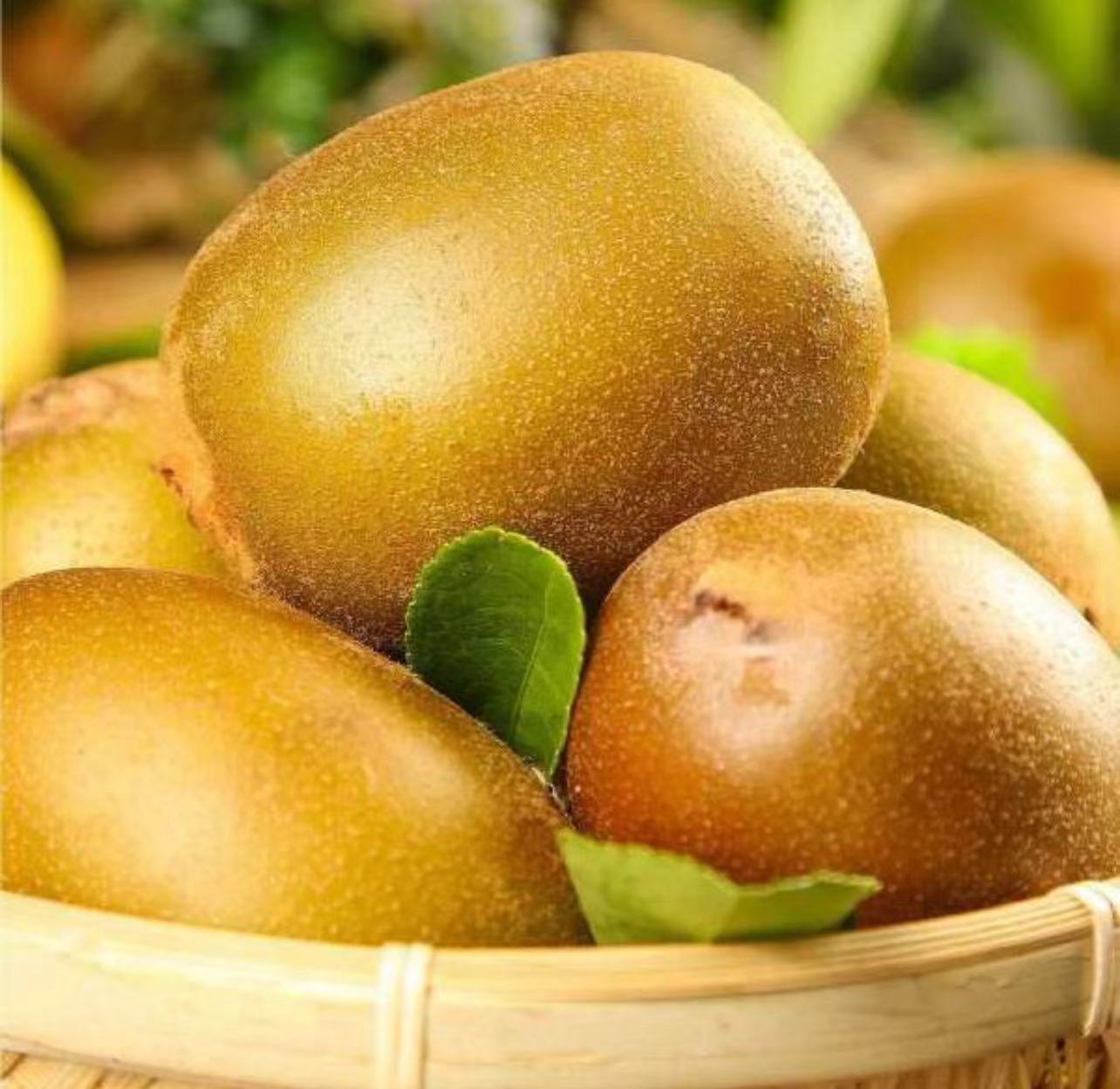 展示一颗完整的黄心猕猴桃,果皮光滑,颜色金黄 黄心猕猴桃整体外观