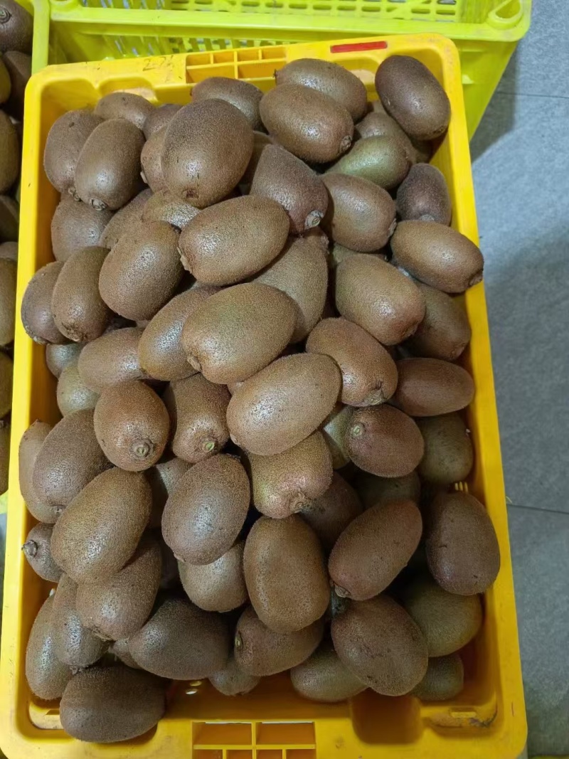 周至猕猴桃