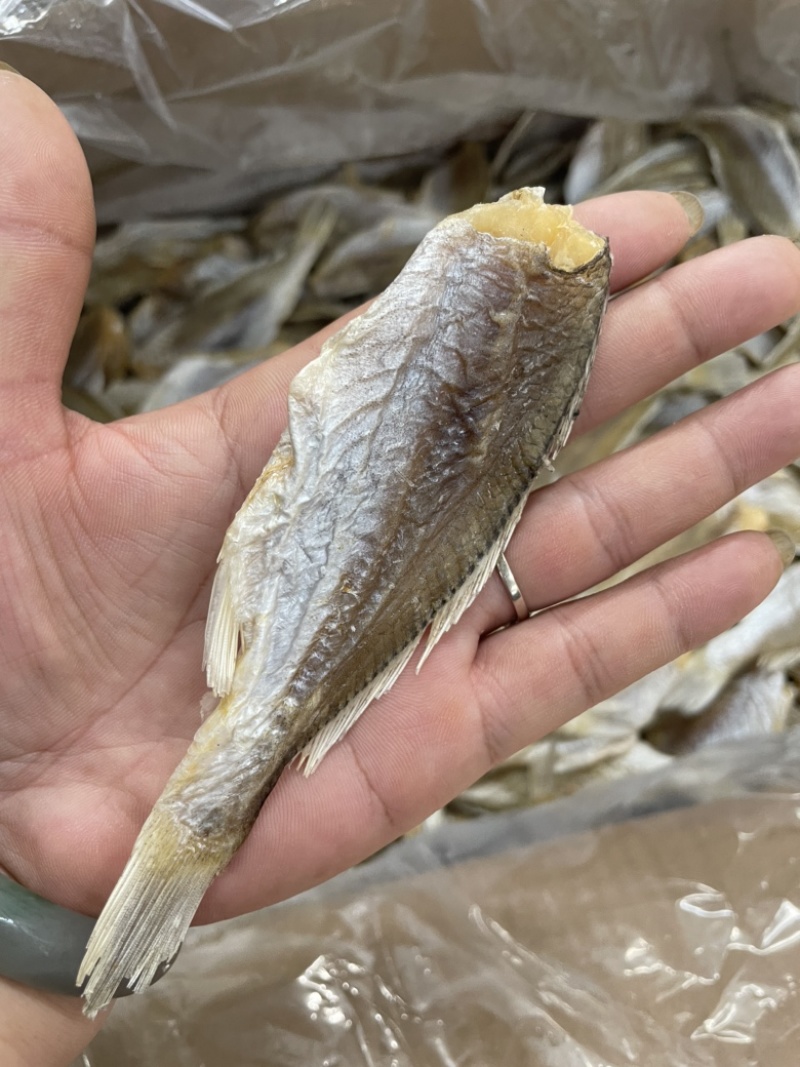 黄花鱼干划条鱼白姑鱼干咸鱼干有量批发
