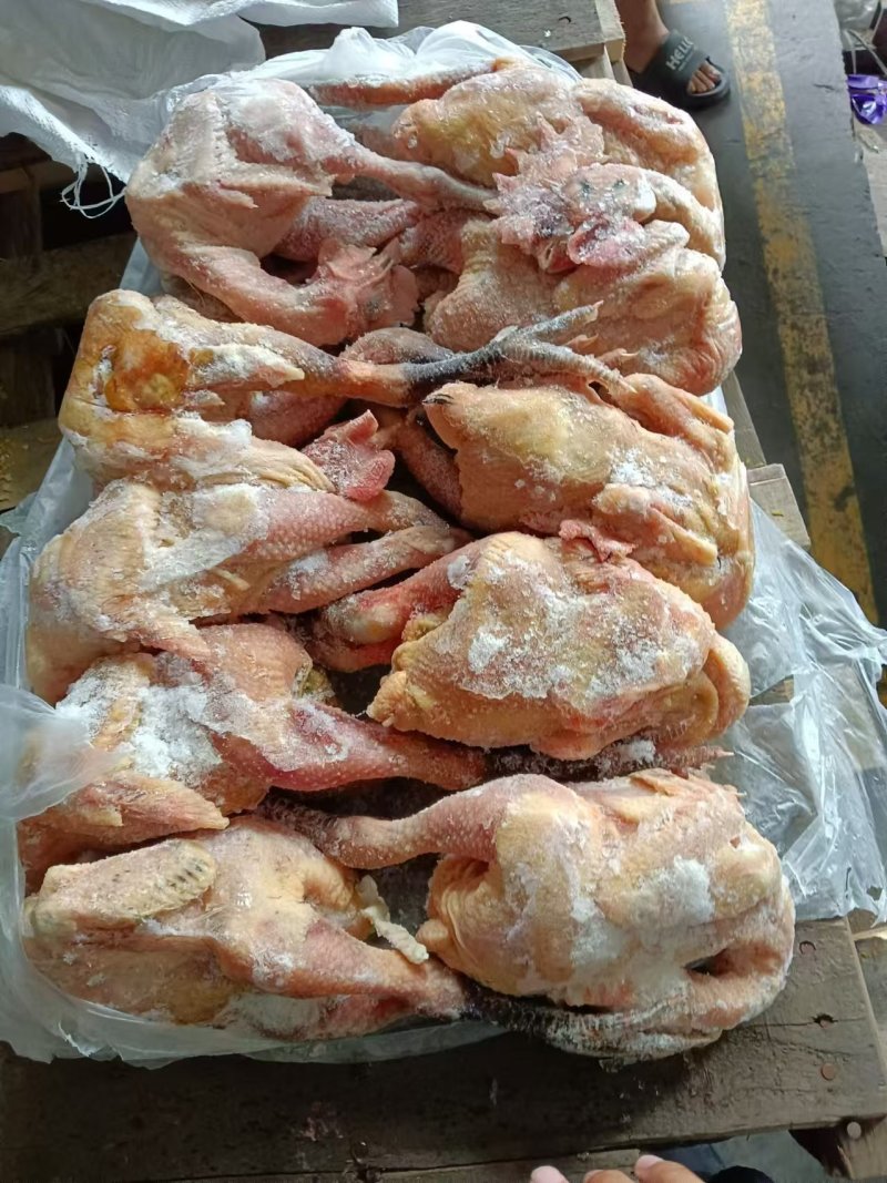 二级麻鸡