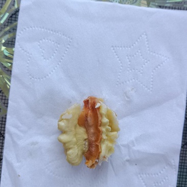清香大量上市，个头大，果肉饱满，香甜可口，以上油