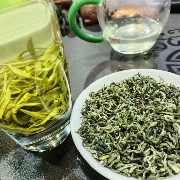 都匀毛尖【精品】