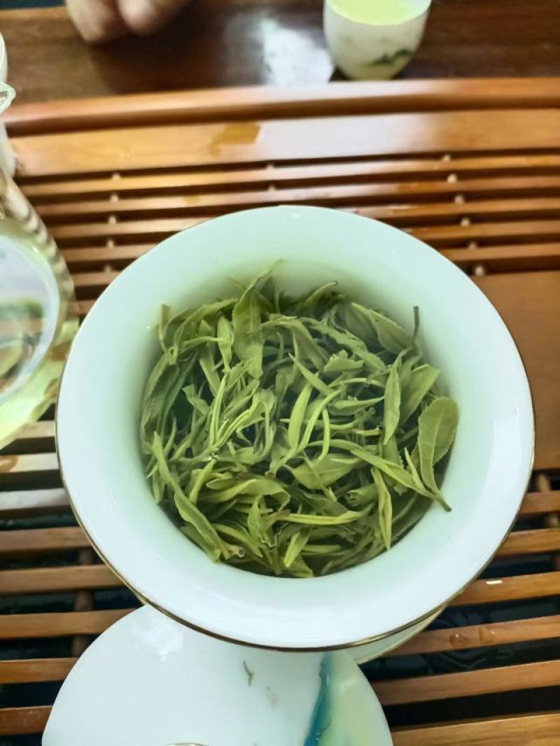 都匀毛尖【精品】