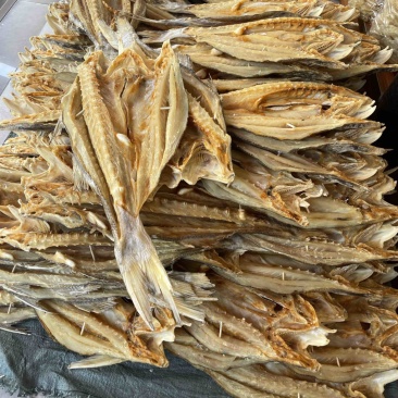 马友鱼干红马友鱼干湛江特产送礼佳品厂家货源批发