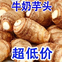 【芋头】山东毛芋头产地货个头大小都有全国接单按老板要求装车