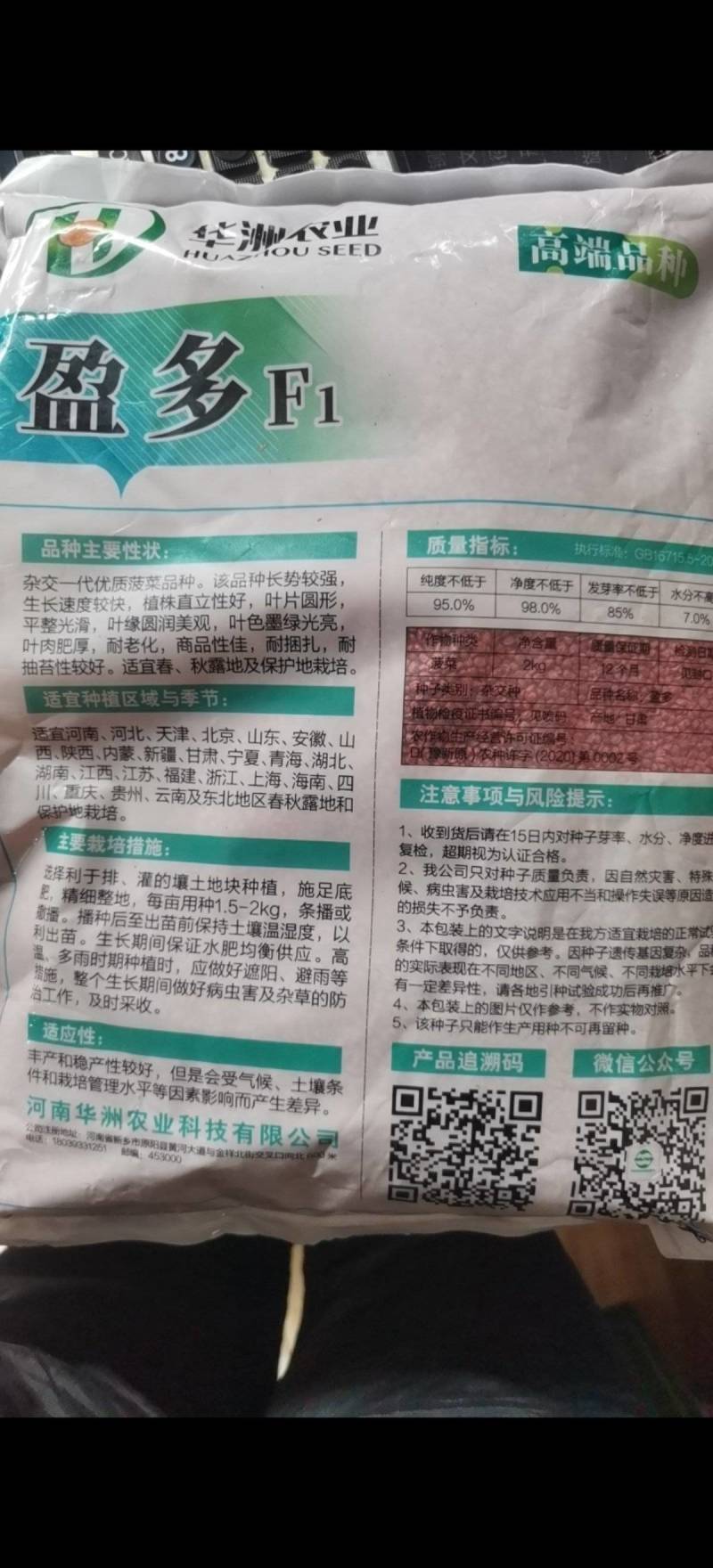 趴地菠菜种子盈多黑圆叶片平展黑油亮生长速度快！