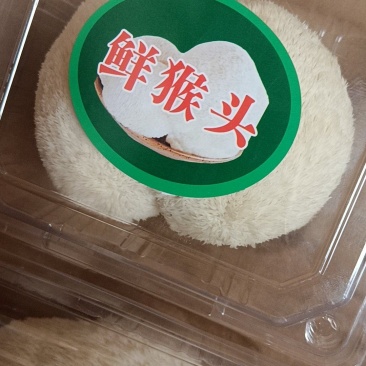 【热卖】优选山东猴头菇产地直发规格齐全品质保证量大从优