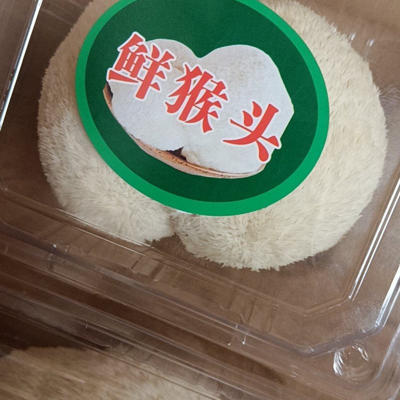 【热卖】优选山东猴头菇产地直发规格齐全品质保证量大从优