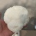 【热卖】优选山东猴头菇产地直发规格齐全品质保证量大从优